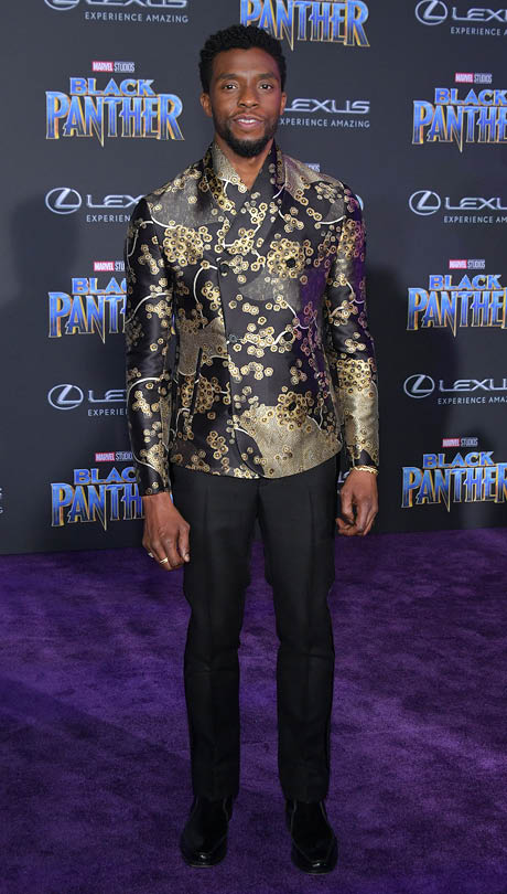 Black Panther Hollywood Premiere