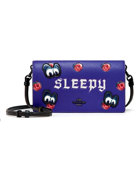 Disney x Coach: A Dark Fairy Tale Collection