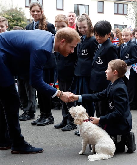 March 20, 2019: Prince Harry Shakes Hands with a Boy—and Meets a Dog! A Two-for-One