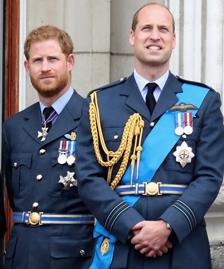 princes harry and william