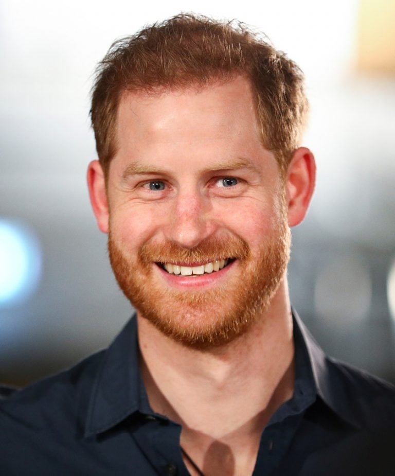 Prince Harry son Zoom call