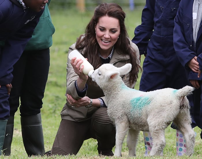 kate middleton news