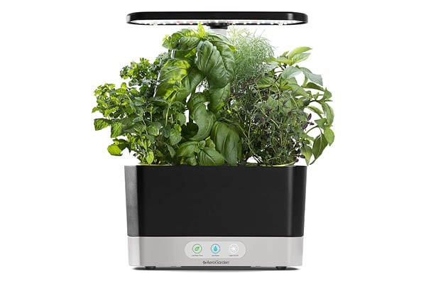 Aerogarden system black friday deals amazon canada