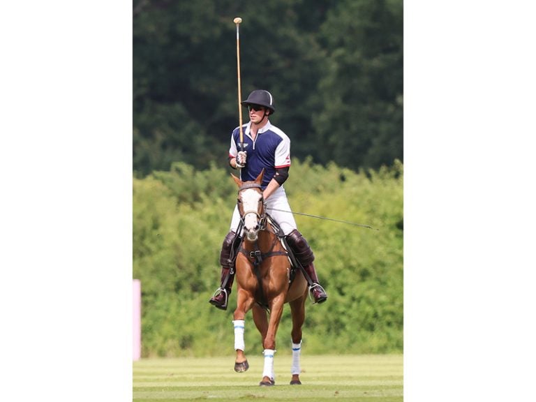 prince harry polo