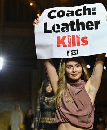 Peta runway crashers Coach