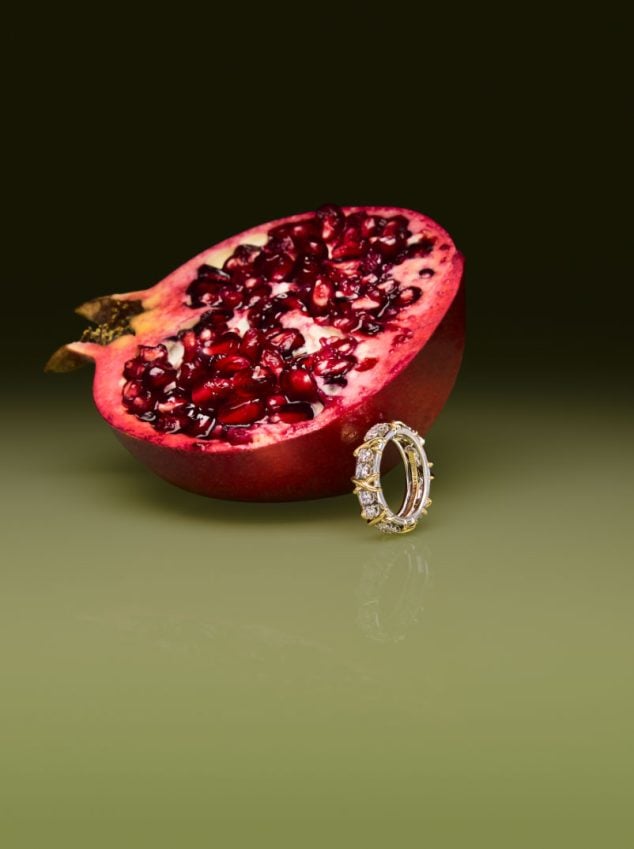 JEAN SCHLUMBERGER BY TIFFANY SIXTEEN STONE RING IN PLATINUM WITH DIAMONDS, $19,400, TIFFANY.CA